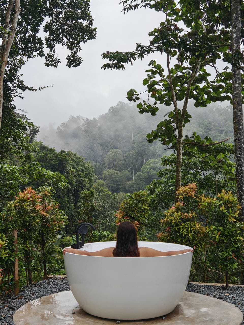 WhatsApp Image 2026-01-24 at 1.17.42 AM