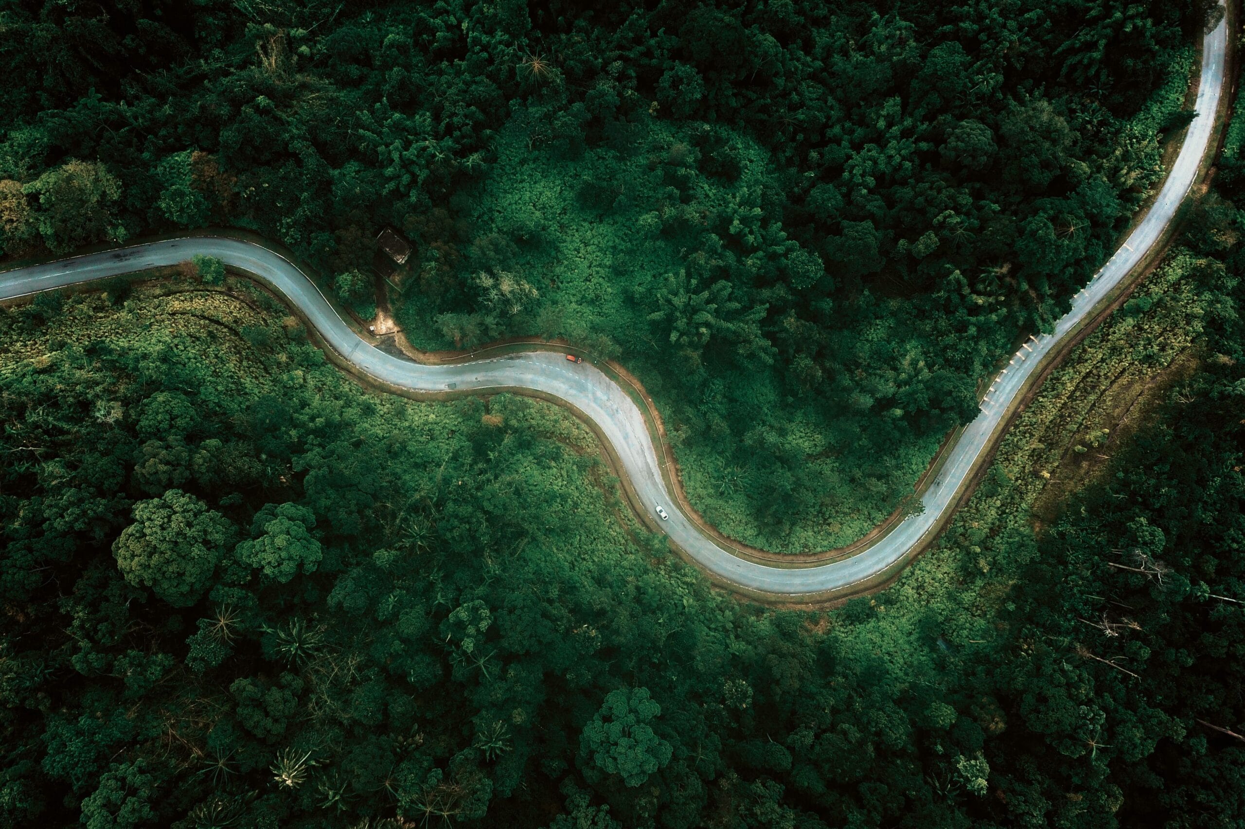 Aerial view of a winding road through lush tropical rainforest in Bentong, Pahang.